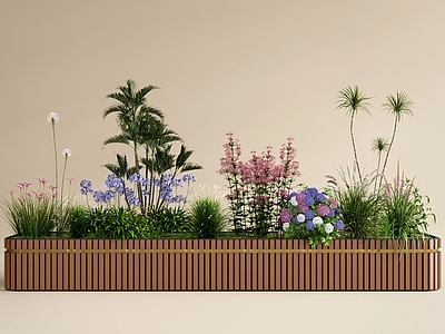 轻奢花草组合 花箱 植物堆 花池 花坛 花镜