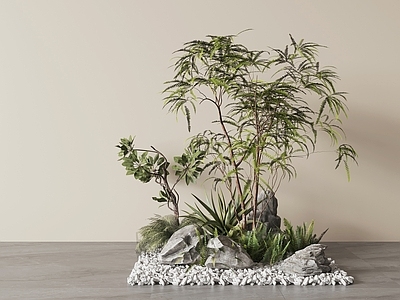 禅意植物堆 室内景观 庭院景观造景