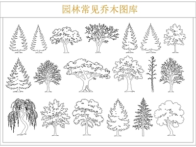 乔木种植 乔木图库