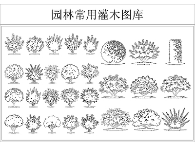 灌木种植 灌木图库