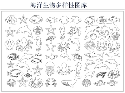 动物 海洋动物