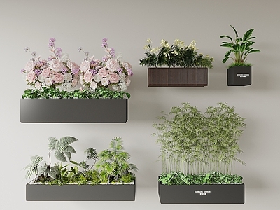 现代简约花箱 外摆花箱 花草 盆栽 花池花坛 植物组合