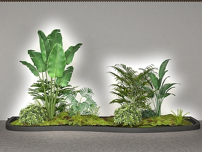 现代植物堆 绿植 景观