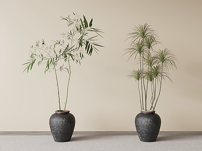 侘寂盆栽 绿植盆栽