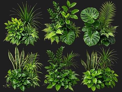 现代花境 2D花境植物组团 花卉花镜 花草镜植物组合 花草花丛 地被花灌木球
