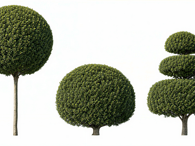 极简灌木 2D植物 球形乔木 修剪造型树 极简景观树 阵列景观树