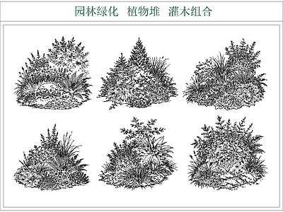 灌木种植 灌木丛