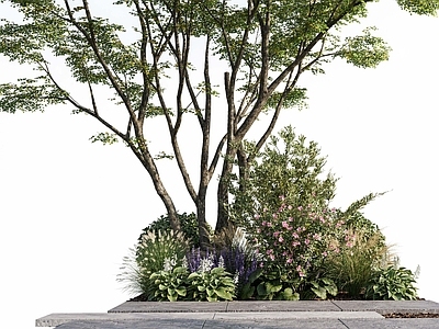 现代花境 现代花境植物组团