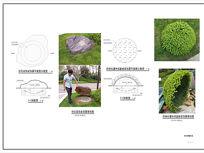 其他景观 种植井盖