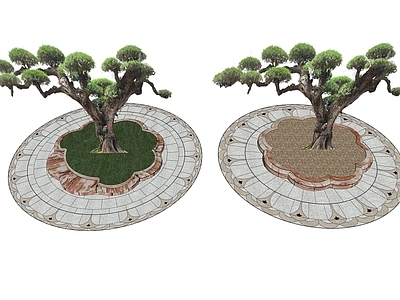 新中式景观庭院小品 造型松造景 禅意造型乔木 异形树池景观 罗汉松景观树