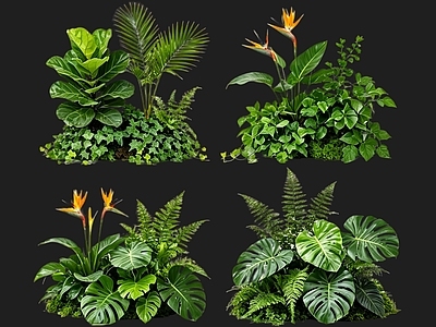现代花境 2D植物组团 花境植物组团 花卉花镜 花草镜植物组合 花草花丛