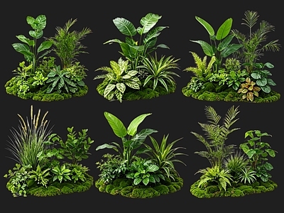 现代花境 2D植物组团 花境植物组团 花卉花镜 花草镜植物组合 花草花丛
