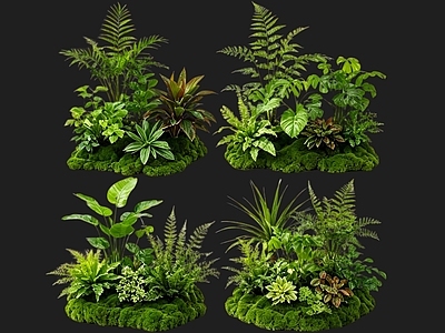 日式花境 2D室内植物组团 花境植物组团 花卉花镜 花草镜植物组合 花草花丛