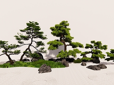 日式灌木 造型松 松树造型松 黑松罗汉松造型松 松树景观造景树 中式园林造型松