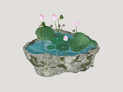 中式绿植摆件 石槽 庭院水槽 水槽荷花