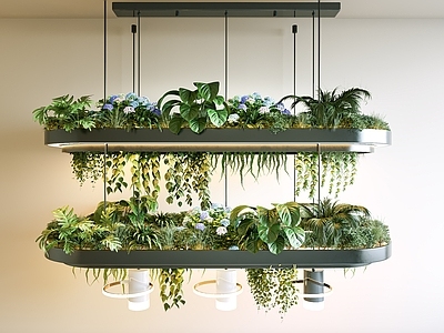 现代植物灯 植物吊灯 植物吊饰 植物花箱 垂植物 吊灯