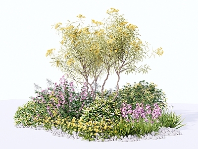 现代花境 庭院花境组团 植物灌木组合 灌木花草乔木 花镜花卉花坛 公园景观绿植