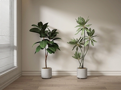 现代简约植物堆 现代绿植盆栽