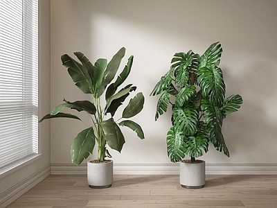 现代简约植物堆 现代绿植盆栽