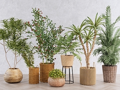 北欧盆栽 室内绿植组合 落地盆栽盆景 造型细叶绿植 室内绿植软装 热带植物组合