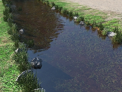 传统园林溪流 小溪滩 河道水景 野外河流水景 现代河道景观