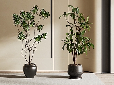 现代简约盆栽 现代盆栽摆件 盆栽盆景 绿植摆件 盆栽 客厅摆件