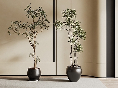 现代简约盆栽 现代盆栽摆件 盆栽盆景 绿植摆件 客厅摆件