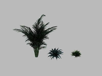 现代景观树