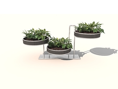 现代花架