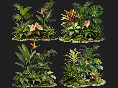 热带景观花境 2D室内植物组团 热带植物组团 花境植物组团 花草镜植物组合 花草花丛