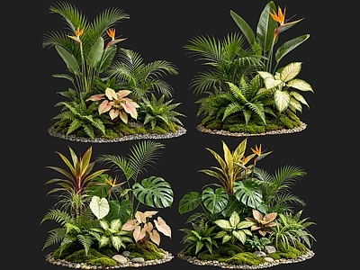 热带植被景观花境 2D室内植物组团 热带植物组团 花境植物组团 花草镜植物组合 花草花丛