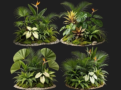 现代花境 2D室内植物组团 热带植物组团 花境植物组团 花草镜植物组合 花草花丛