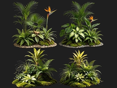 热带景观花境 2D室内植物组团 热带植物组团 花境植物组团 花草镜植物组合 花草花丛
