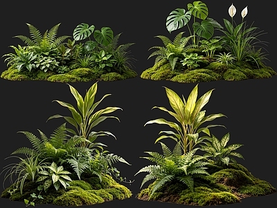 禅意花境 2D室内植物组团 热带植物组团 花境植物组团 花草镜植物组合 花草花丛