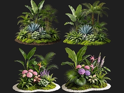 现代主义花境 2D室内植物组团 热带植物组团 花境植物组团 花草镜植物组合 花草花丛