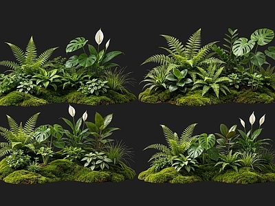 日式花境 2D室内植物组团 热带植物组团 花境植物组团 花草镜植物组合 花草花丛