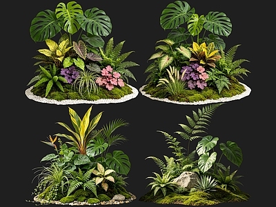 现代花境 2D室内植物组团 热带植物组团 花境植物组团 花草镜植物组合 花草花丛