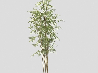 新中式竹子