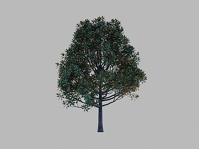 景观树