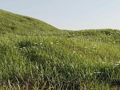 极简缓坡山体 坡地草坪