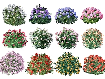 现代灌木 开花灌木球组合 球形灌木丛 月季绣球蔷薇 玫瑰栀子花球 多花观花灌木