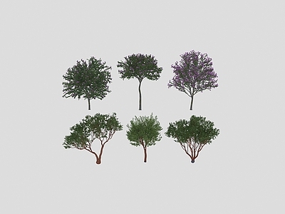 景观树