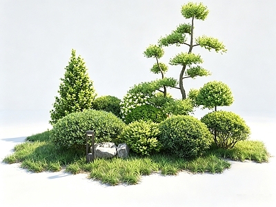禅意植物堆