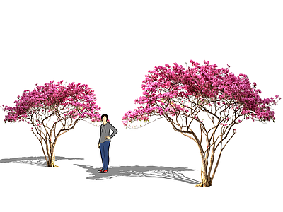 现代灌木 新中式2d植物 映山红 山杜鹃 庭院植物 2d杜鹃花