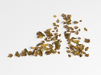 植物堆 写实散落的树叶 落叶 树叶 植物碎片 自然碎片