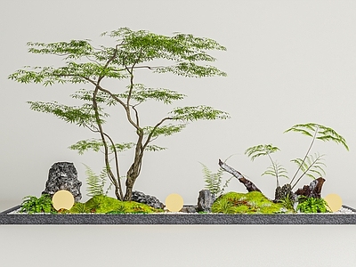 新中式景观室内景观 新中式禅意景观 景观造景 景观小品 楼梯景观 植物组合