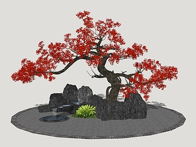 新中式景观植物组合 禅意景观树 红树 庭院树 景观树