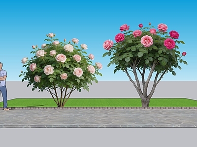 现代主义灌木 2D植物 丛生灌木 月季 绿化雕塑 绿植