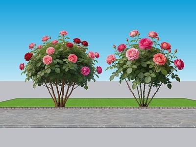 现代主义灌木 2D植物 丛生花灌木 月季 绿化雕塑 绿植