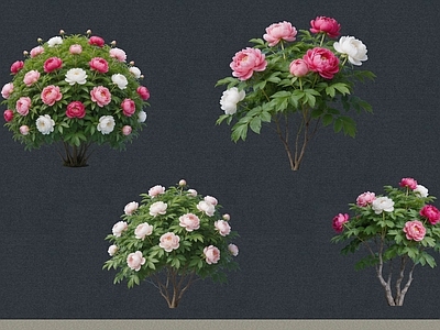 灌木 2D植物 花灌木 牡丹 绿化雕塑 绿植
